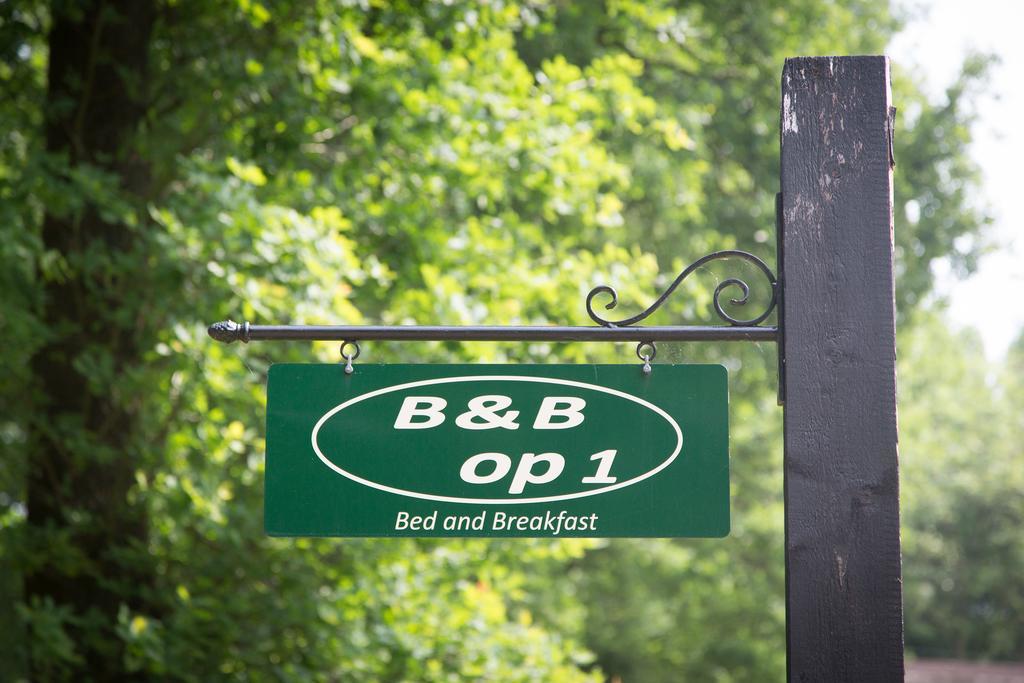 Bed & Breakfast Orvelte Exterior photo